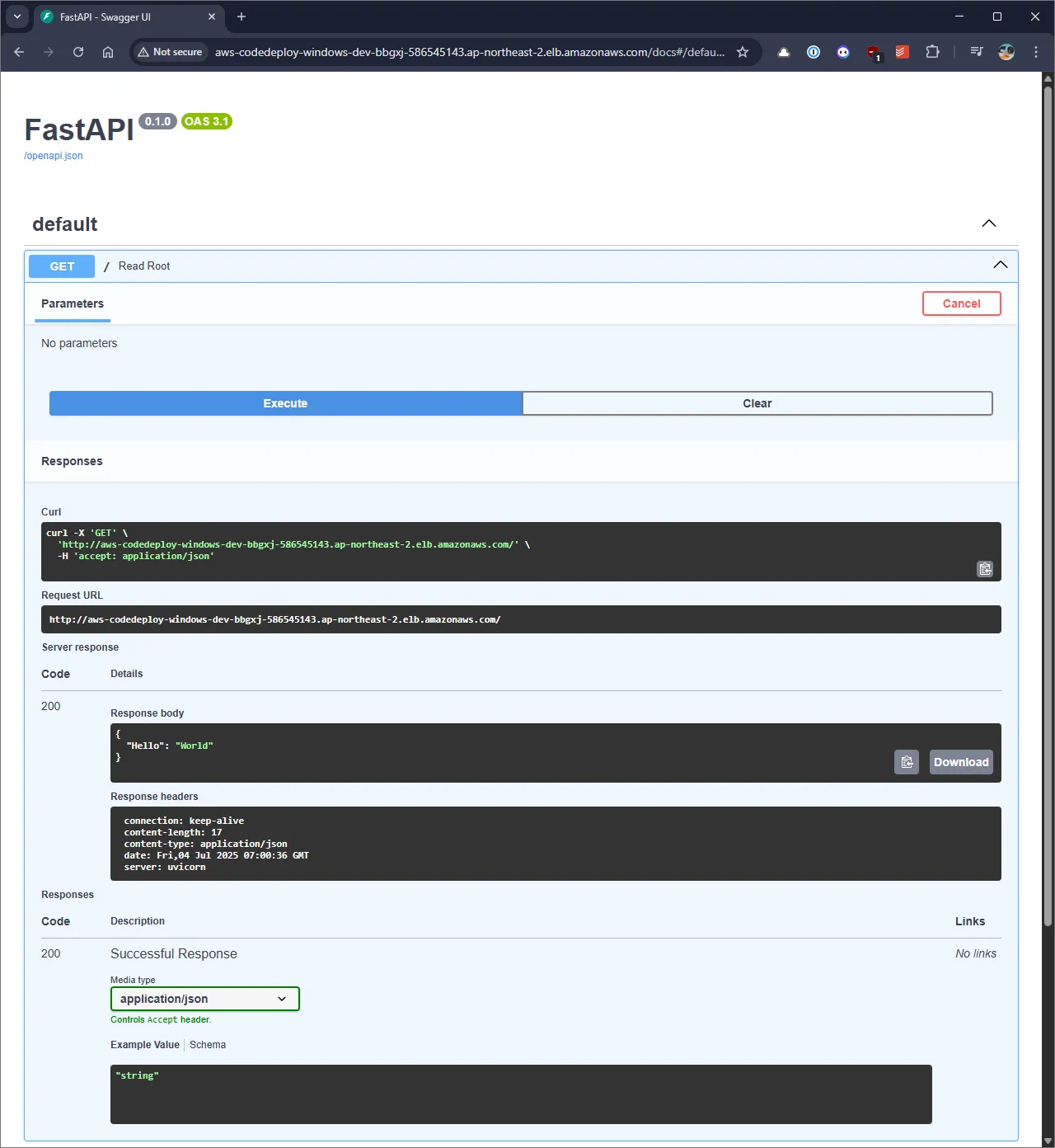 FastAPI OpenAPI 문서 확인